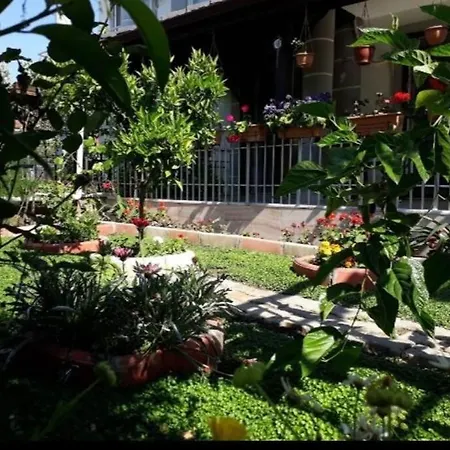 Vila Ces *